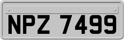 NPZ7499