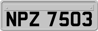 NPZ7503