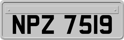 NPZ7519