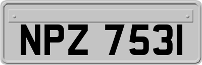 NPZ7531