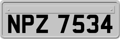 NPZ7534
