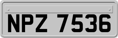 NPZ7536