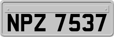NPZ7537