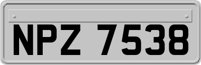 NPZ7538