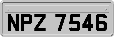 NPZ7546