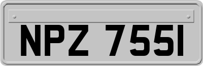 NPZ7551