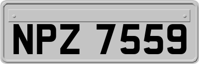 NPZ7559