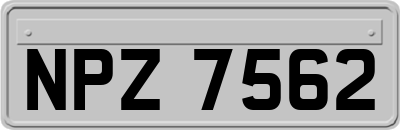 NPZ7562