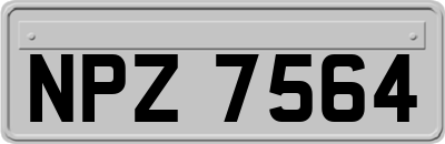 NPZ7564