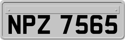 NPZ7565