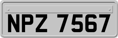 NPZ7567