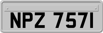 NPZ7571