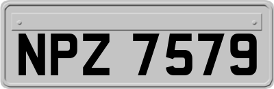 NPZ7579