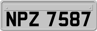 NPZ7587