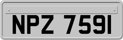 NPZ7591