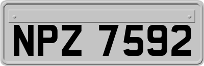 NPZ7592