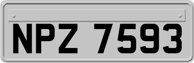 NPZ7593