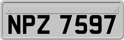 NPZ7597