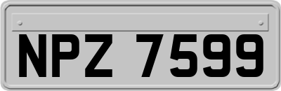 NPZ7599