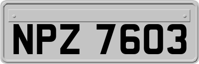 NPZ7603