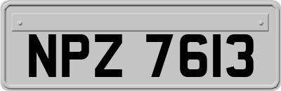 NPZ7613