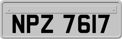 NPZ7617