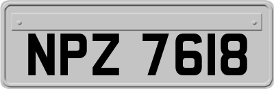 NPZ7618