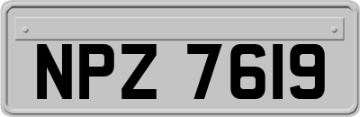 NPZ7619