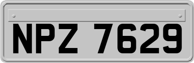 NPZ7629