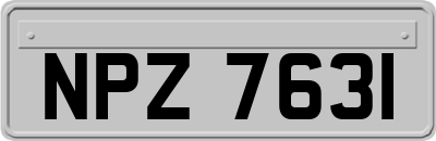 NPZ7631