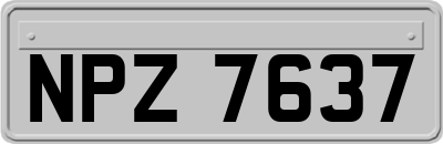 NPZ7637