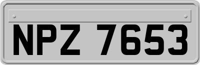 NPZ7653