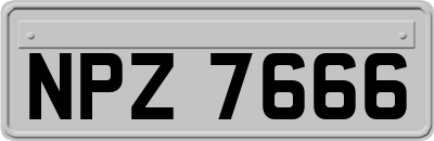 NPZ7666