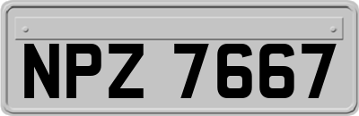 NPZ7667