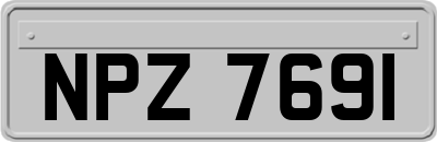 NPZ7691