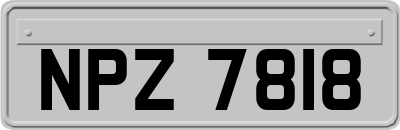 NPZ7818