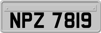 NPZ7819