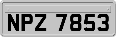 NPZ7853