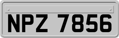 NPZ7856