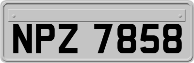 NPZ7858