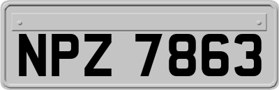 NPZ7863