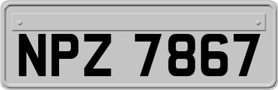 NPZ7867