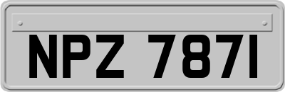 NPZ7871