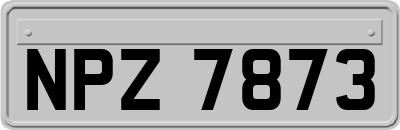 NPZ7873