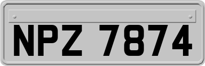 NPZ7874