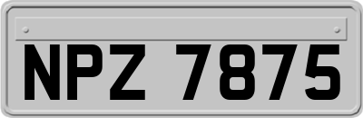 NPZ7875