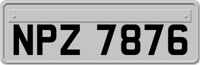 NPZ7876