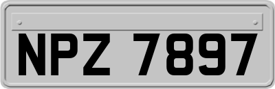 NPZ7897