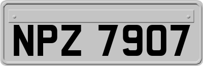NPZ7907
