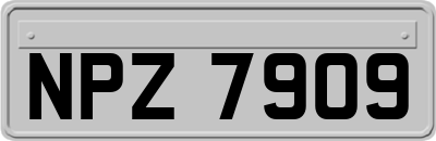 NPZ7909